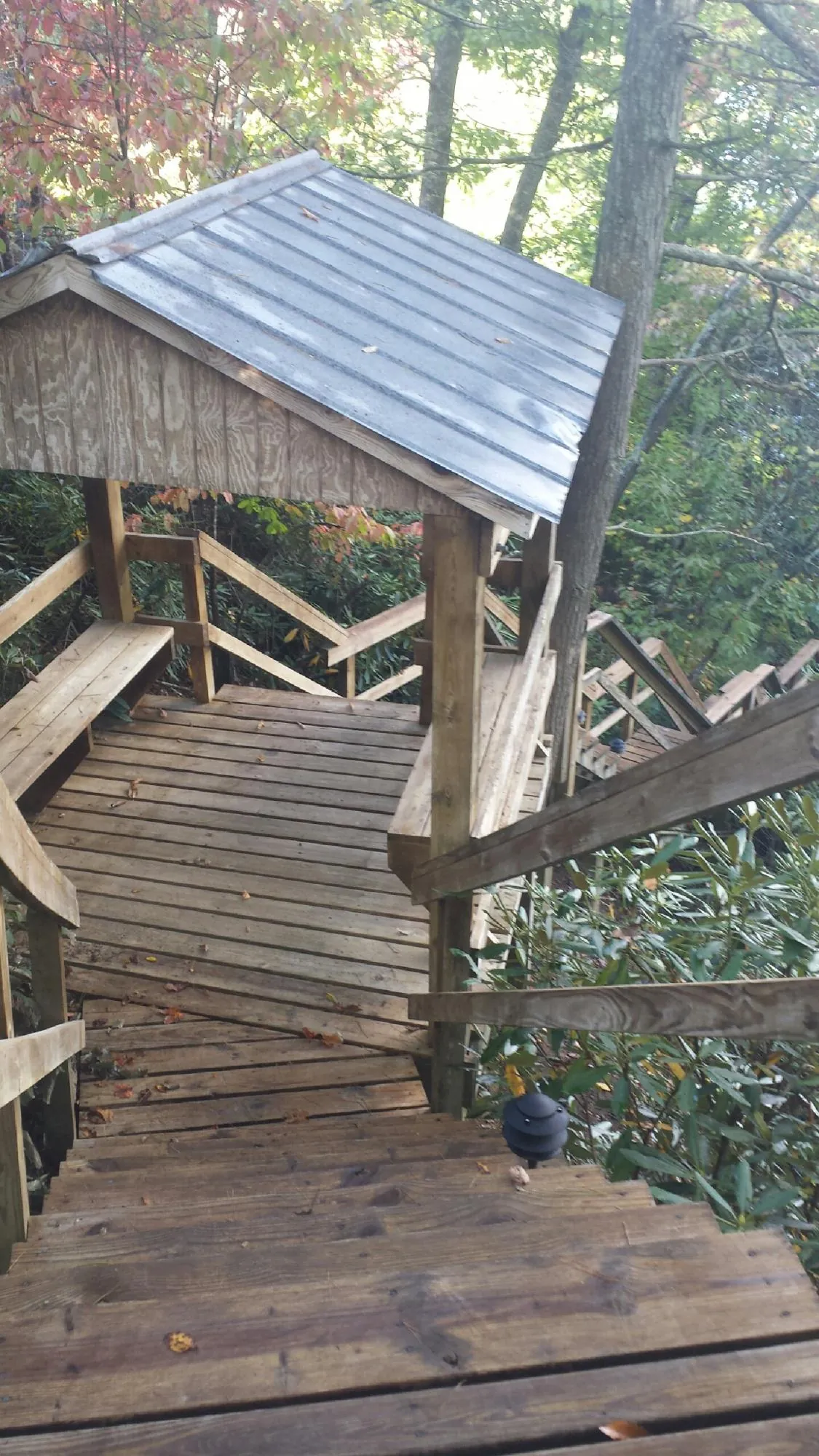 Metal roofed shelter over wooden steps on a wooded walkway — Skylight Repair & Installation work by our crew in Meredith